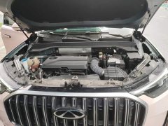 Chery Tiggo 9 2023 2.0T Automatic Two-Wheel Drive Luxury 5-Seater - ფოტო 10