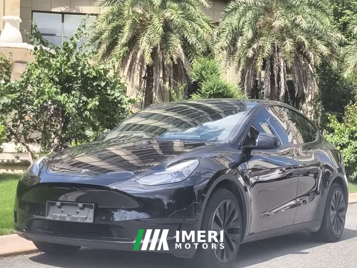 Tesla Model Y Rear-Wheel Drive - ავტომობილი ჩინეთიდან
