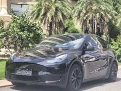 Tesla Model Y Rear-Wheel Drive - ფოტო 1