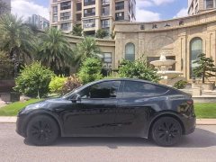 Tesla Model Y Rear-Wheel Drive - ფოტო 4