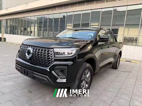 2024 Hyundai Cannon 2.4T Commercial Automatic Diesel 4WD Elite - ავტომობილი ჩინეთიდან