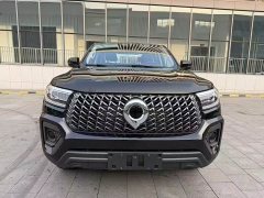 Hyundai Cannon 2.4T Commercial Automatic Diesel 4WD Elite - ფოტო 2