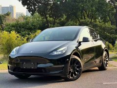Tesla Model Y Standard Range RWD - ფოტო 1