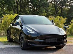 Tesla Model Y Standard Range RWD - ფოტო 3