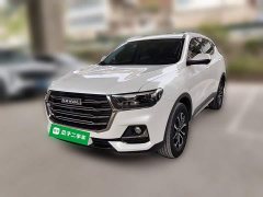 Haval H6 National Trend Edition 1.5T Automatic Urban Version - ფოტო 1