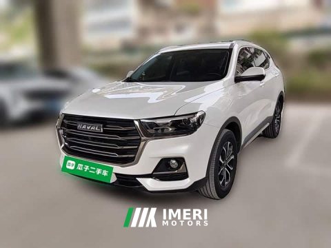 2023 Haval H6 National Trend Edition 1.5T Automatic Urban Version - ავტომობილი ჩინეთიდან