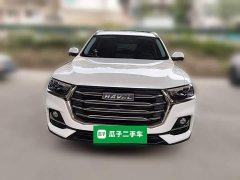 Haval H6 National Trend Edition 1.5T Automatic Urban Version - ფოტო 2