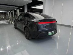 Tesla Model Y Rear-Wheel Drive - ფოტო 14