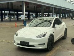 Tesla Model Y Rear-Wheel Drive - ფოტო 1