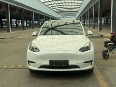Tesla Model Y Rear-Wheel Drive - ფოტო 2