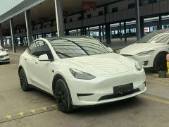 Tesla Model Y Rear-Wheel Drive - ფოტო 3