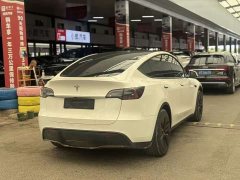 Tesla Model Y Rear-Wheel Drive - ფოტო 9