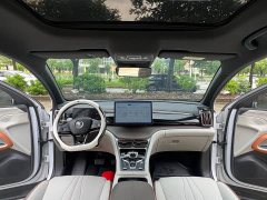 BYD Song Pro New Energy DM-i 51km Premium - ფოტო 5