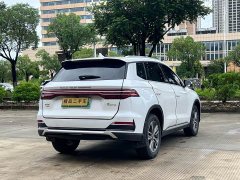 BYD Song Pro New Energy DM-i 51km Premium - ფოტო 7