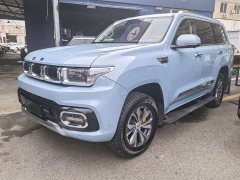 Beijing Jeep BJ60 2022 2.0T Eleventh Edition Five-Seater - ფოტო 1