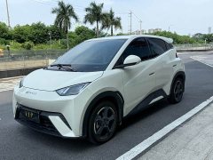 BYD Seagull Freedom Edition - ფოტო 1