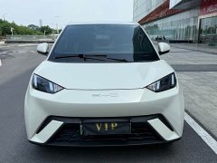 BYD Seagull Freedom Edition - ფოტო 2