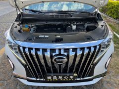 GAC Aion M8 2021 Lingxiu Series 390T Luxury Edition - ფოტო 10