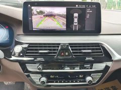 BMW 5 Series 530Li Premier M Sport Package - ფოტო 16