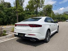 Geely Xingrui 1.5TD Kunlun Edition - ფოტო 16