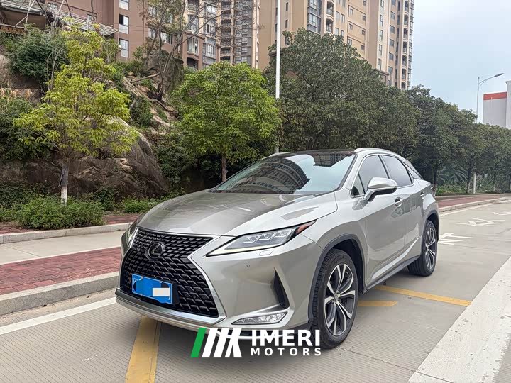 Lexus RX 2020 300 AWD Elegance National VI - ავტომობილი ჩინეთიდან