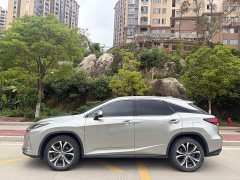 Lexus RX 2020 300 AWD Elegance National VI - ფოტო 10
