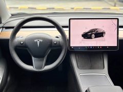 Tesla Model 3 2022 Rear-Wheel Drive - ფოტო 6