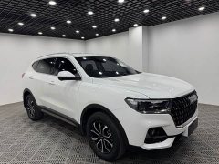 Haval H6 National Trend Edition 1.5T Automatic Urban Version - ფოტო 1