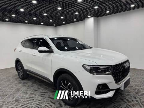 2023 Haval H6 National Trend Edition 1.5T Automatic Urban Version