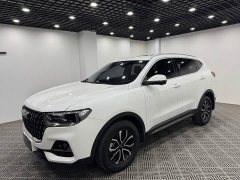 Haval H6 National Trend Edition 1.5T Automatic Urban Version - ფოტო 3