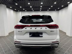 Haval H6 National Trend Edition 1.5T Automatic Urban Version - ფოტო 8