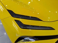 Lotus EMEYA L - ფოტო 6