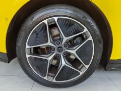 Lotus EMEYA L - ფოტო 8