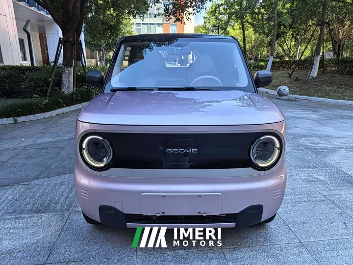 Geely Panda Mini 200km Endurance Edition - ავტომობილი ჩინეთიდან