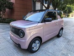 Geely Panda Mini 200km Endurance Edition - ფოტო 2