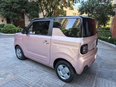 Geely Panda Mini 200km Endurance Edition - ფოტო 4