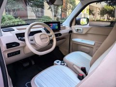 Geely Panda Mini 200km Endurance Edition - ფოტო 8