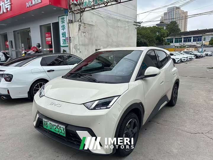 BYD Seagull Freedom Edition