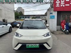 BYD Seagull Freedom Edition - ფოტო 2