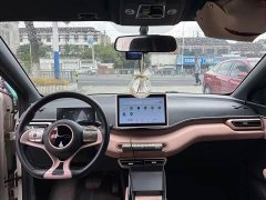 BYD Seagull Freedom Edition - ფოტო 7
