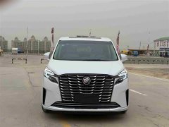 Buick GL8 ES Luxe Comfort - ფოტო 2