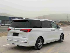 Buick GL8 ES Luxe Comfort - ფოტო 4