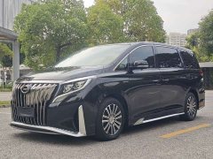 GAC Aion M8 Master Series 390T Luxury Edition - ფოტო 1