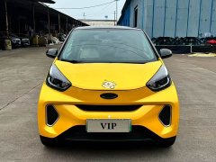 Chery Ant 150,000 Yuan Ant Fan Edition New Ant Cool Version Ternary Lithium - ფოტო 2