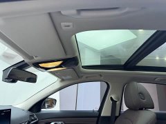 BMW 3 Series 320Li M Sport Package - ფოტო 14