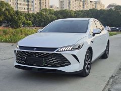 BYD Qin PLUS DM-i Smart Driving Edition 120KM Excellence - ფოტო 1