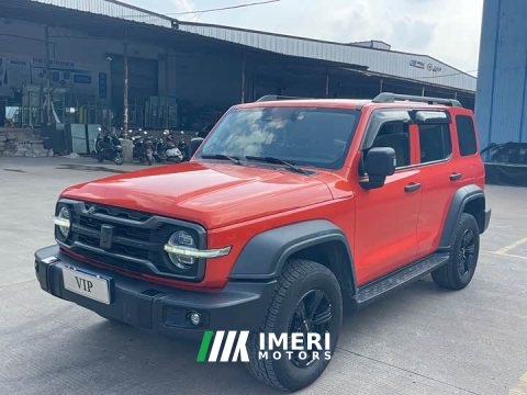 2021 Tank 300 Off-Road Edition 2.0T Conqueror - ავტომობილი ჩინეთიდან