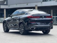 BMW X6 2020 xDrive40i M Sport Package - ფოტო 10