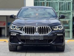 BMW X6 2020 xDrive40i M Sport Package - ფოტო 7