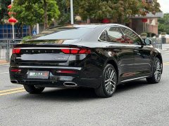 Geely Xingrui 2.0T Diesel Luxury Plus - ფოტო 13